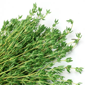 http://worldhealth.net/images/homefeature/012210_Thyme.jpg
