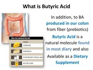 Butyric-Acid-From-Bacteria-what is