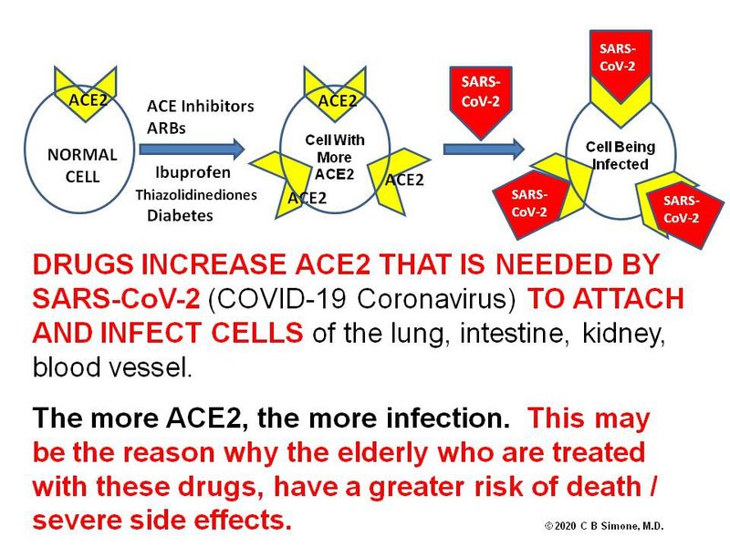 ace2 receptor infection