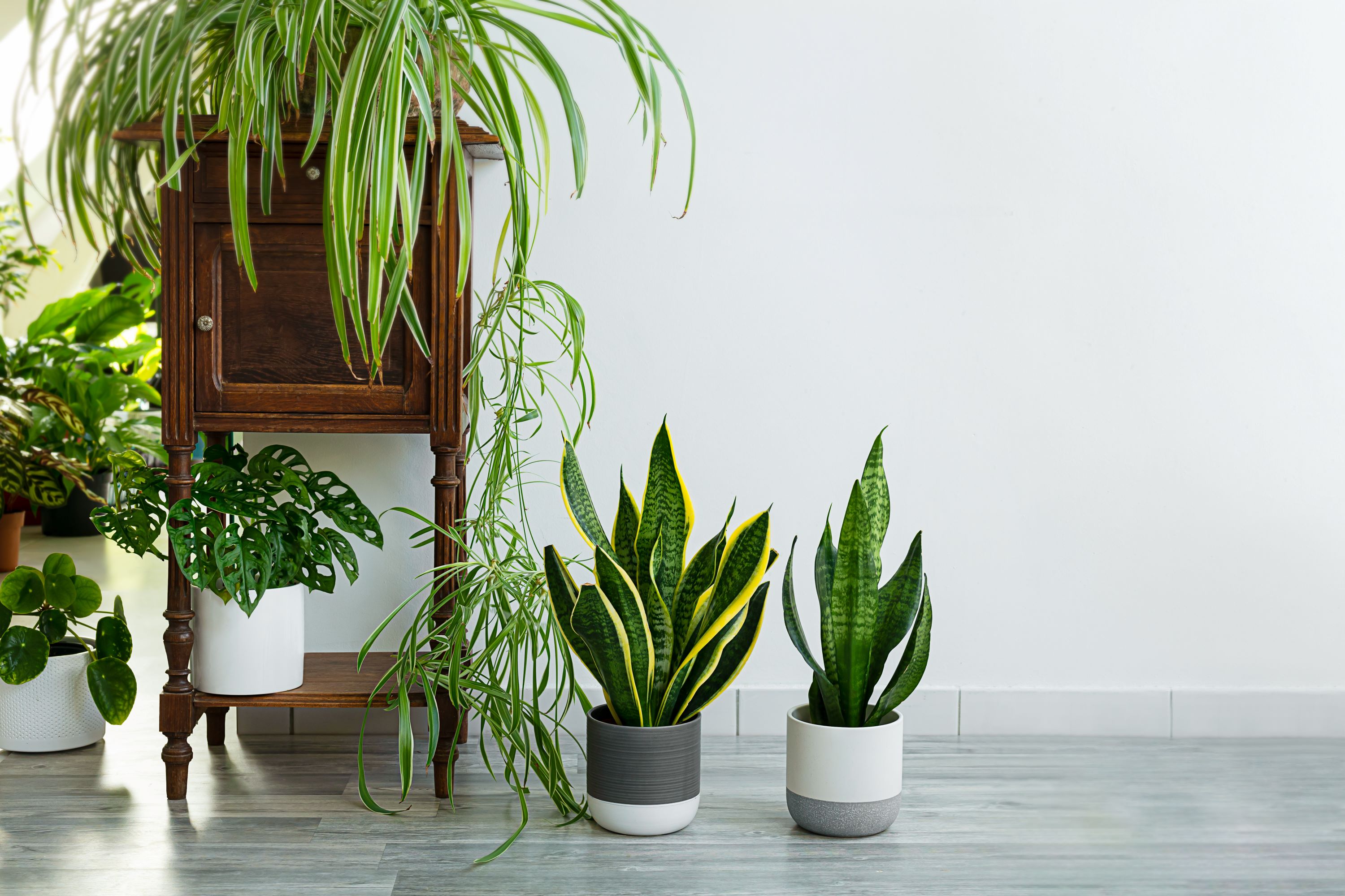 Functional Beauty: Adding A Splash Of Greenery To Your Indoor Spaces ...