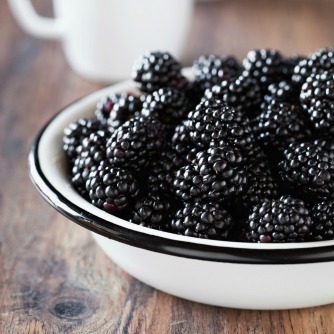 Berry Compound Boosts Overall Health | Worldhealth.net Anti-Aging News