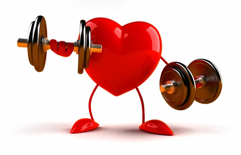 worldhealth.net - Posted by the WHN News Desk - Heart Health for Fitness Beginners: Where Do Supplements Fit In?