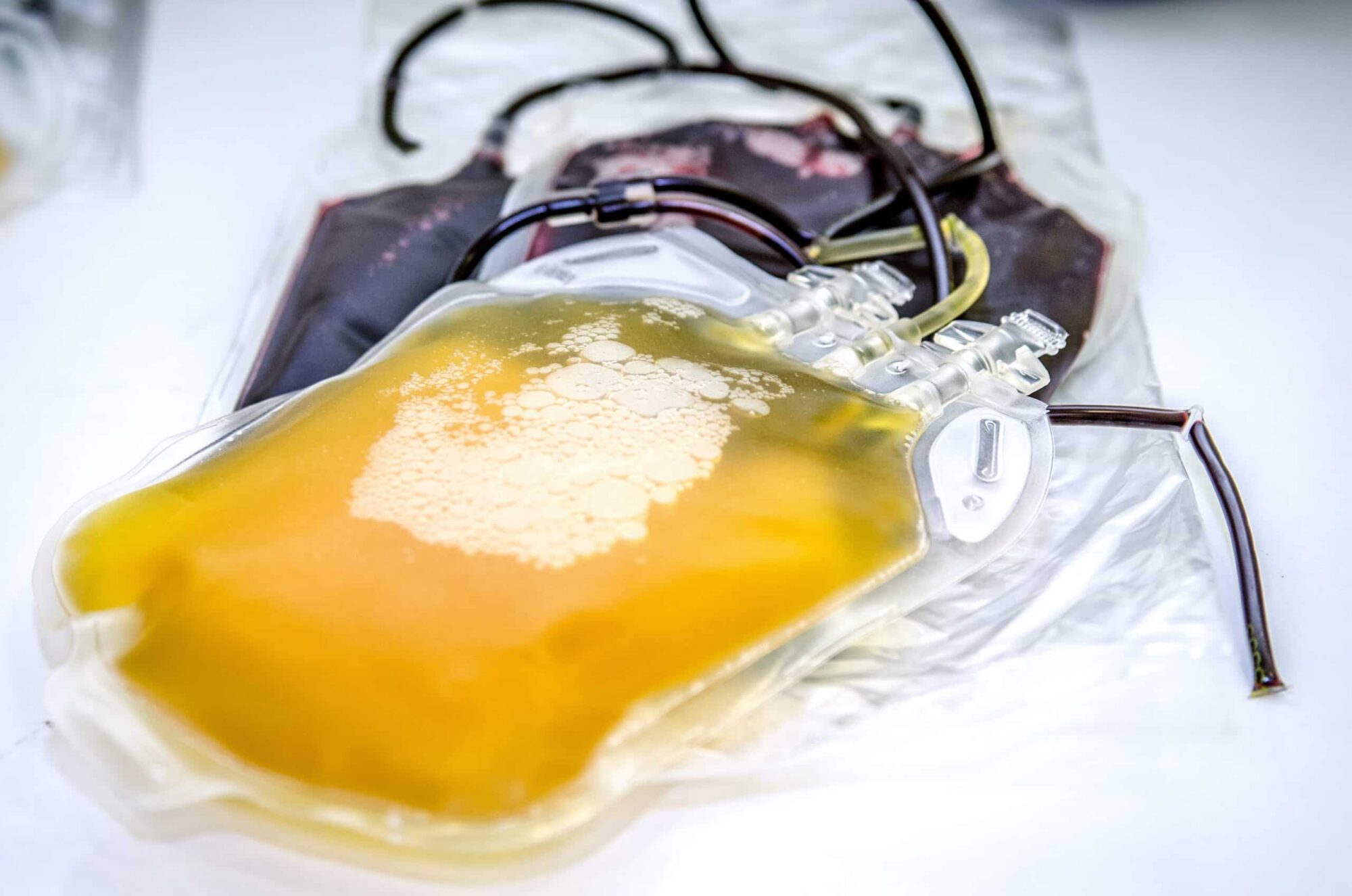 worldhealth.net - Posted by the WHN News Desk - How New GLP-1 Weight-Loss Medications Are Changing Conversations Around Plasma Donation Eligibility