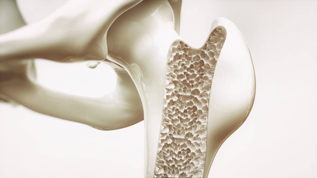 Discover the Science of Aging Impacts on Bone Density - WorldHealth.net