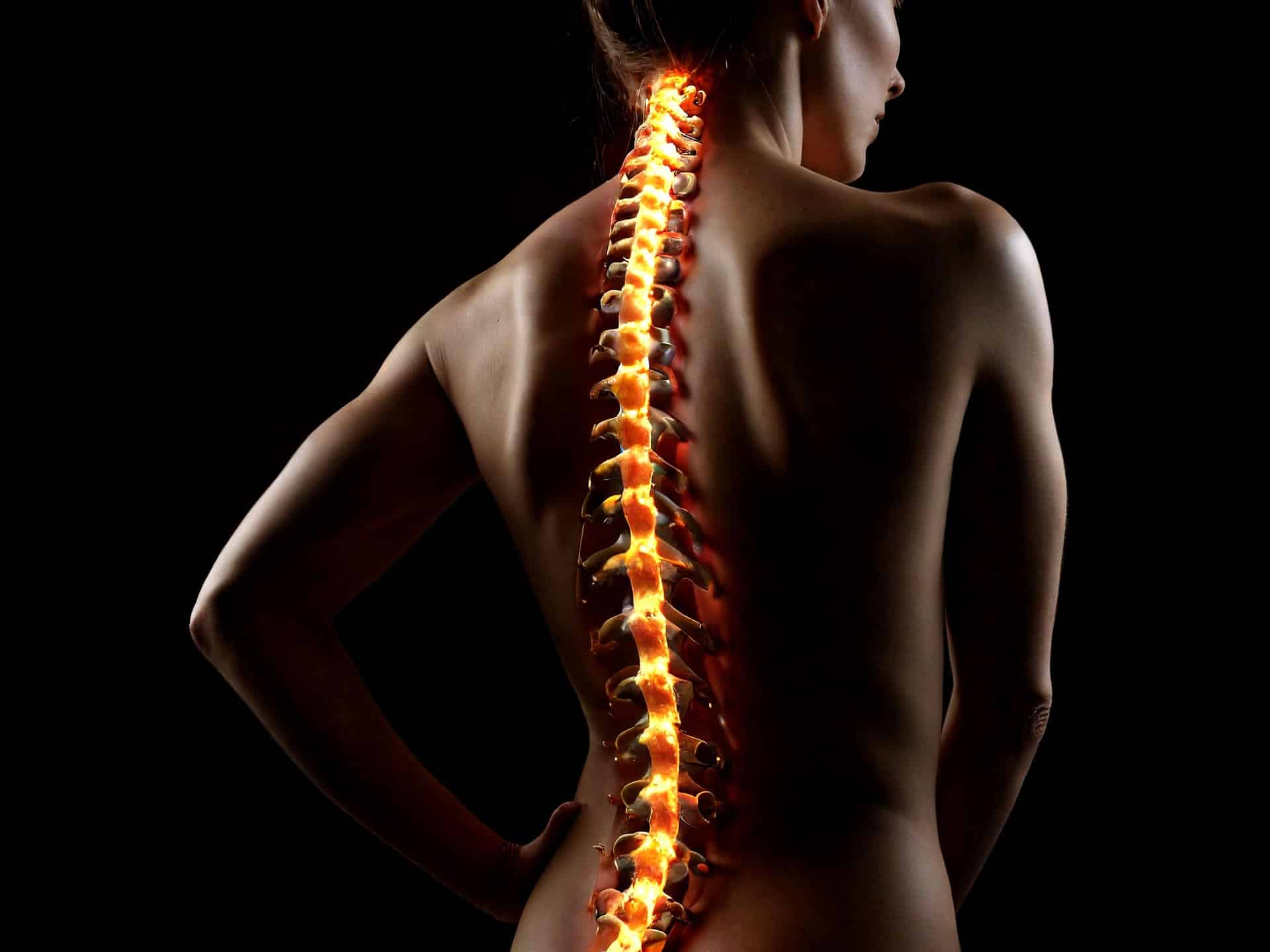 worldhealth.net - Posted by the WHN News Desk - Progressive Approaches to Spine and Back Wellness