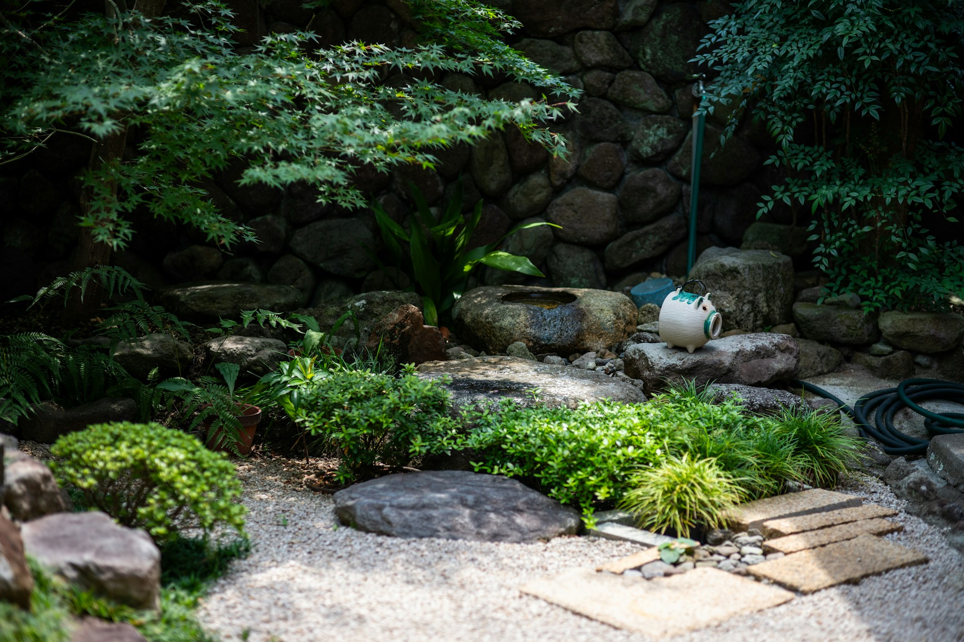 worldhealth.net - Posted by the WHN News Desk - Backyard Features That Help Seniors Keep Their Minds at Ease